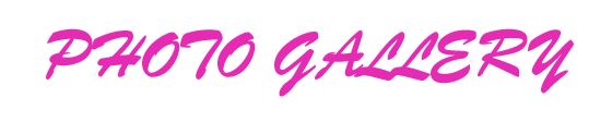 photogallery.gif - 4.29 K